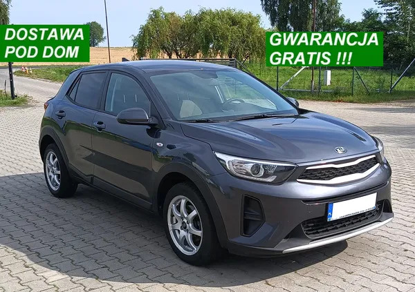 kia stonic Kia Stonic cena 63900 przebieg: 35000, rok produkcji 2019 z Suchań